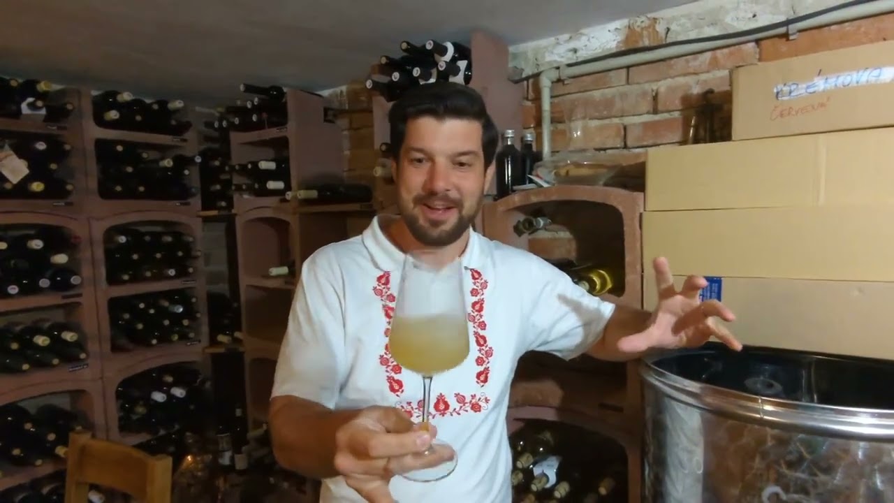 Pravda a m&yacute;ty o burč&aacute;ku 🍷 Z den&iacute;ku vinaře