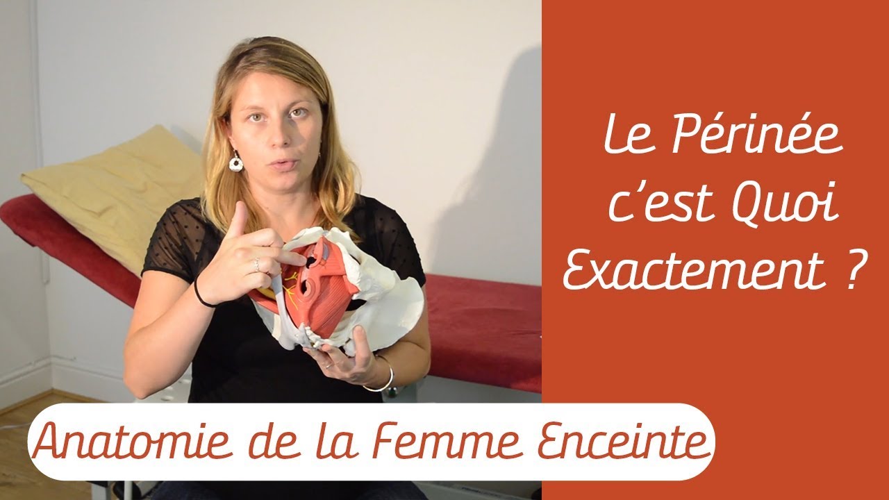 Le Périnée C'est Quoi? A Quoi Il Sert Pendant La Grossesse? - Anatomie de la Femme Enceinte