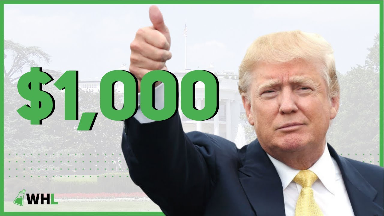 Trump Wants to Give Every American $1,000 💵 (too little too late?)