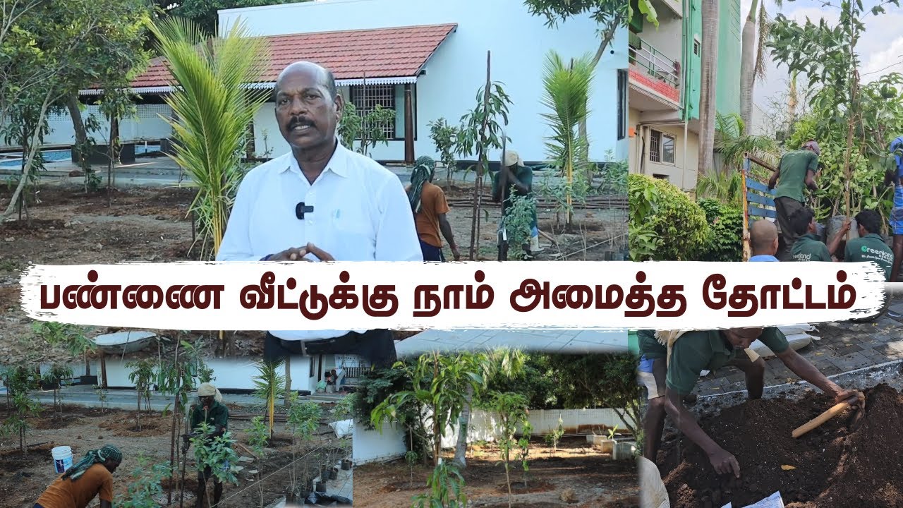 🌱பண்ணை வீட்டை அலங்கரித்த அரிய வகை பழ செடிகள் | Farmhouse Transformation: Lush Exotic Fruit Garden🌳🍇🍊
