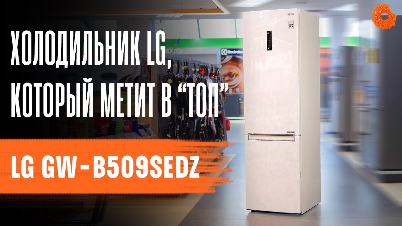 ТОПОВЫЙ холодильник в бежевом цвете от LG  | Обзор GW-B509SEDZ