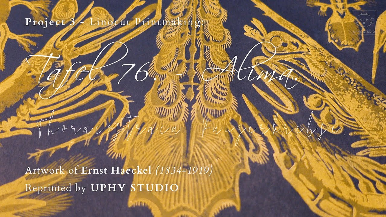 [Linocut Tutorial] Two-colour Linocut Printmaking. Ernst Haeckel『Thoracostraca. Panzerkrebse.』