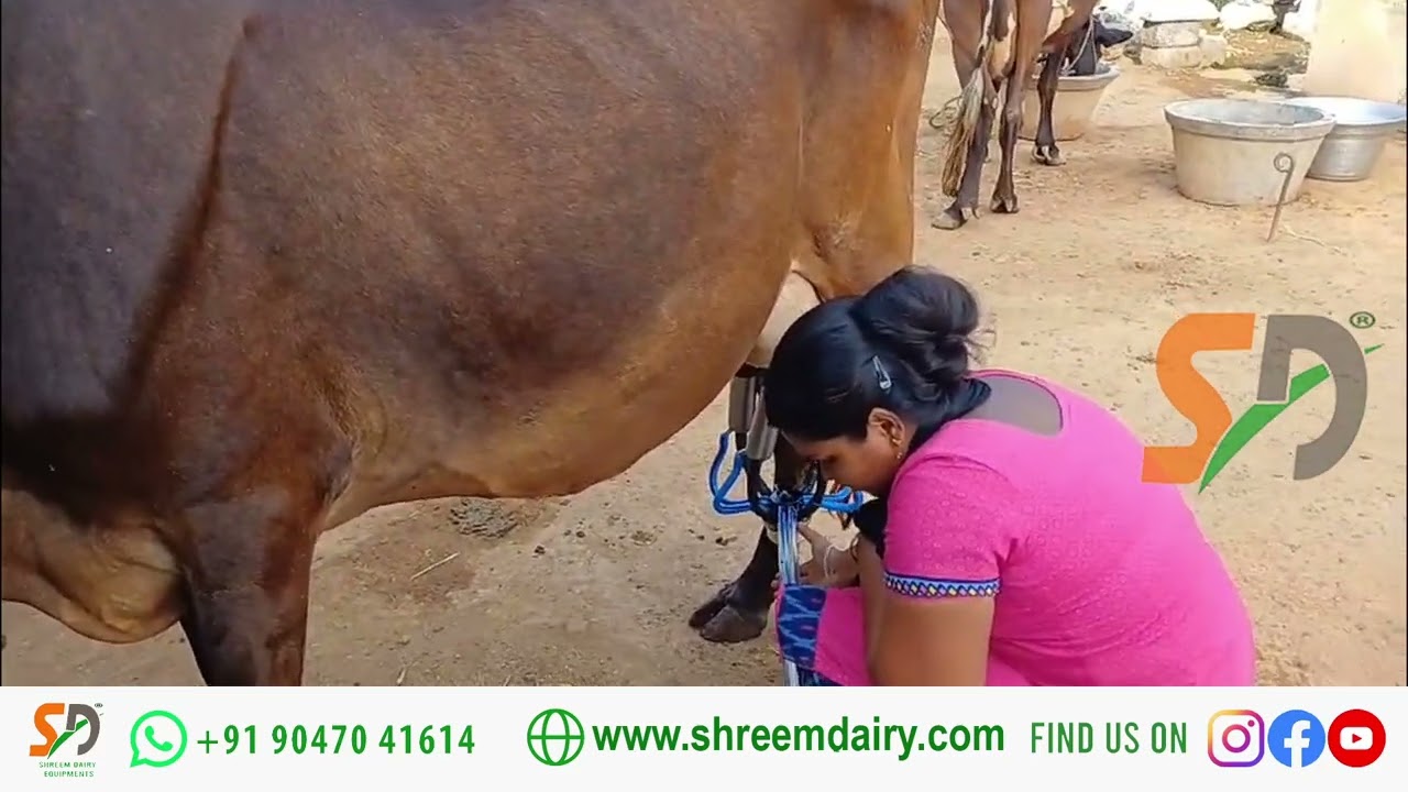 Milking Machine | பால் கறக்கும் இயந்திரம்