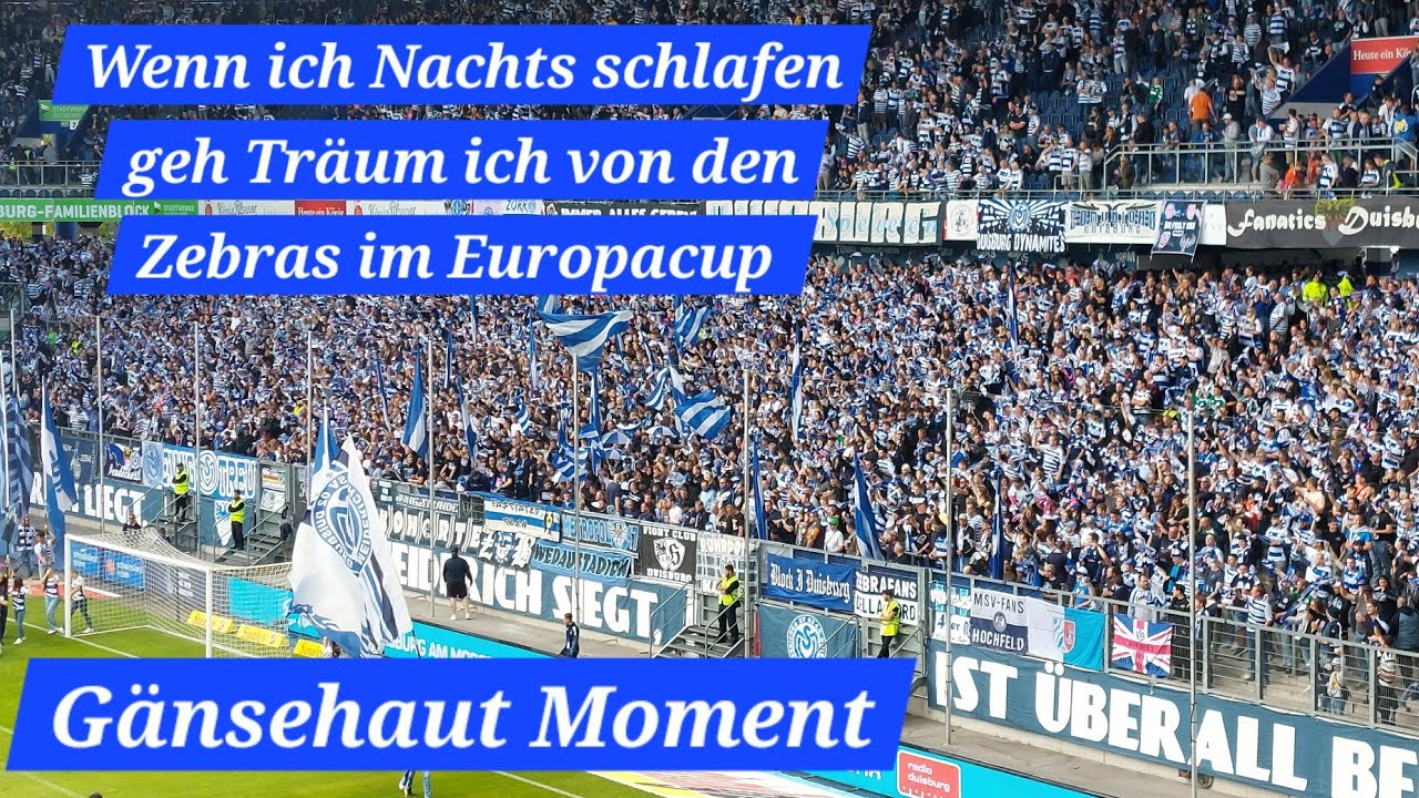 Wenn ich Nachts schlafen geh, Tr&auml;um ich von den Zebras im Europacup. MSV Fangesang