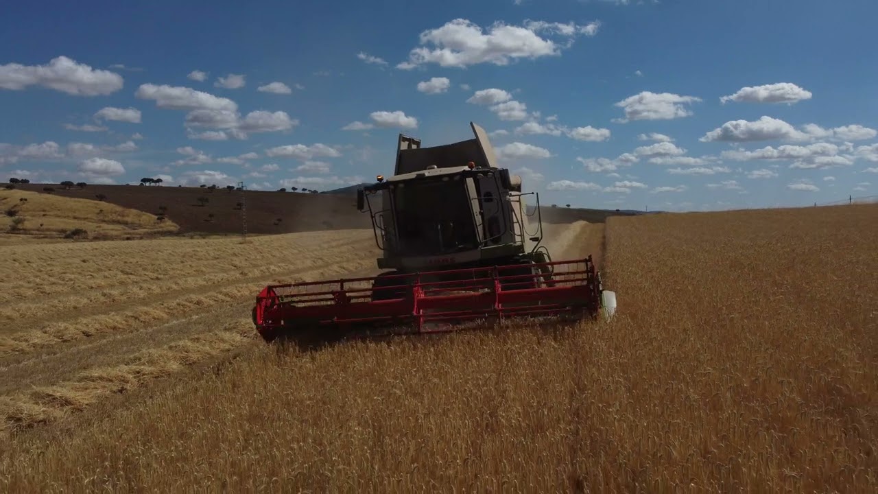 CLAAS TUCANO 340