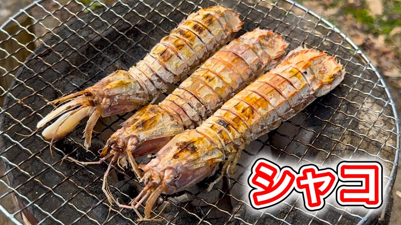 浜茹でシャコの炭火焼きがうますぎる