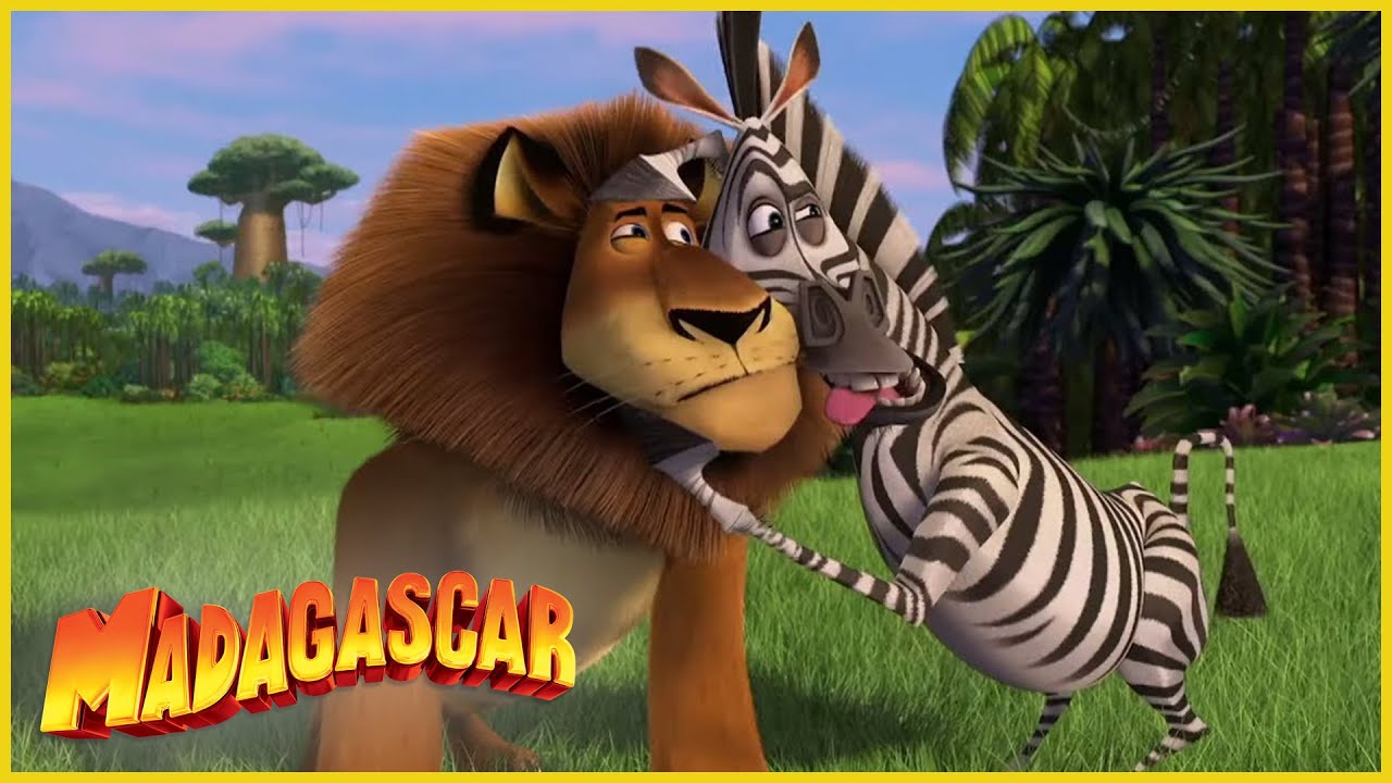 DreamWorks Madagascar en Español Latino | Alex y la Naturaleza | Madagascar