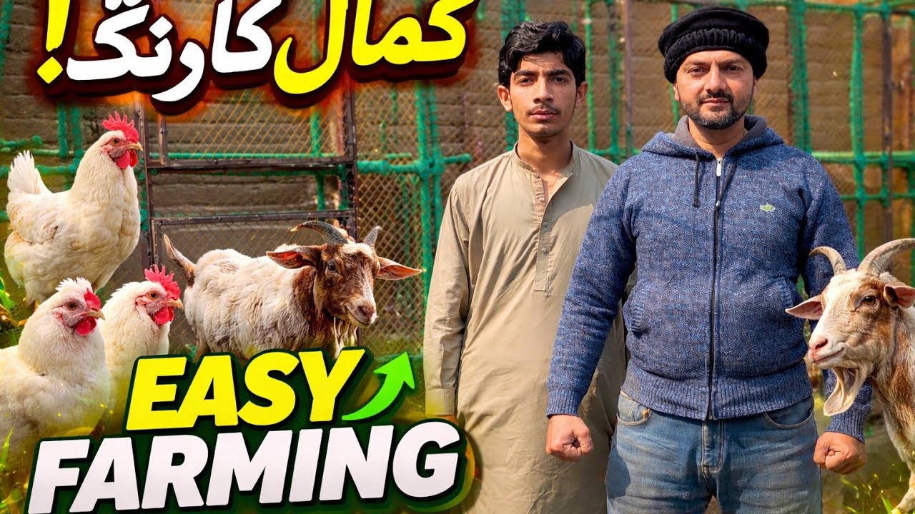 Aj Alhamdulillah Hum nay aadi chath b teyar ker li #youtuber #allrounder #Dimo skills 