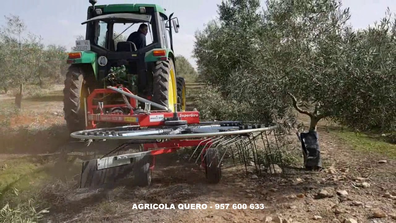 Rastrillo acordonador SuperGiro trabajando en olivar a 7 k/h. (Fabricado en España)