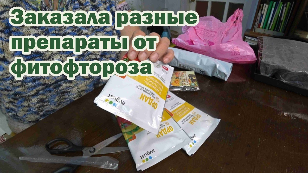 Обзор покупок с маркетплейсов: садовые препараты, семена тыквы, кроссовки, витамин D, аккумулятор