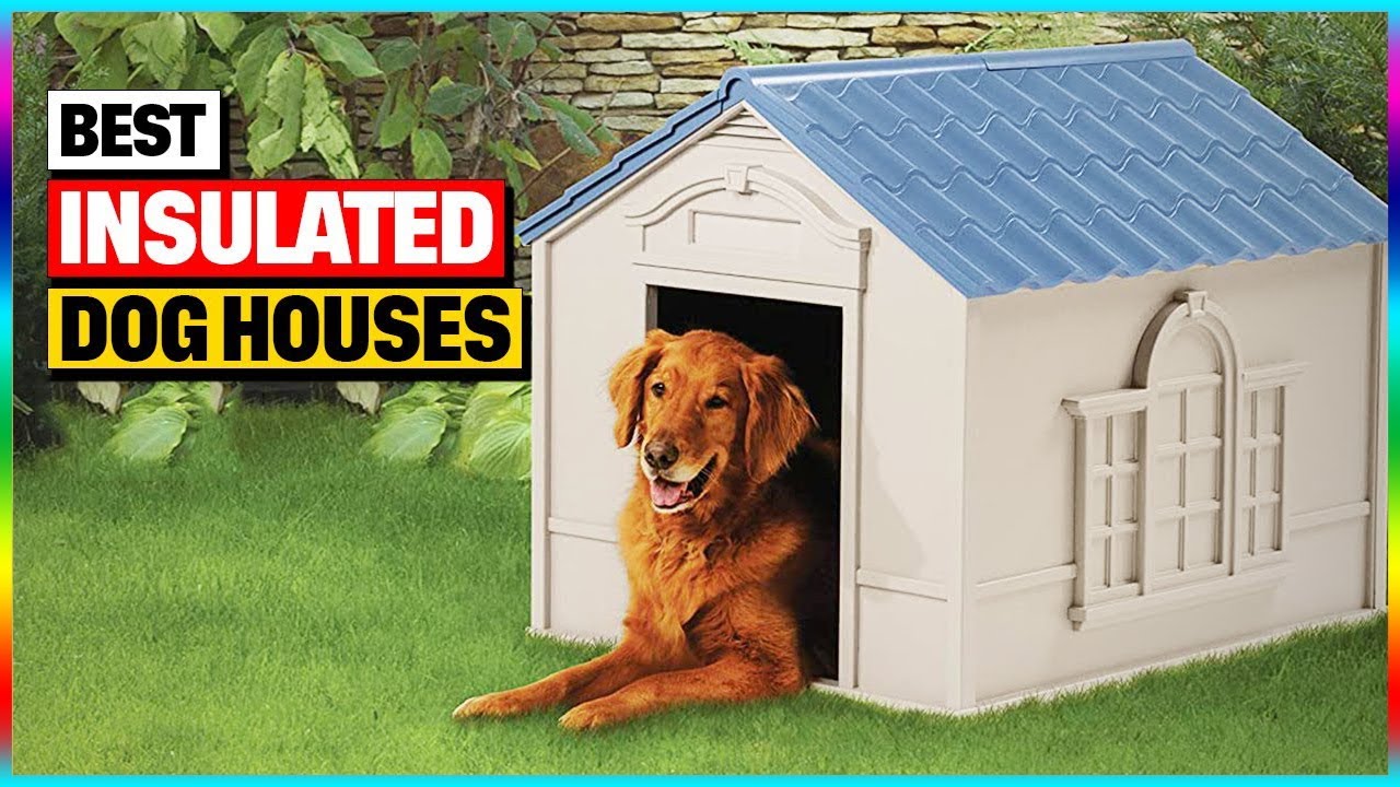 Best Insulated Dog Houses for 2026 - Top 5 Winter Dog House Review