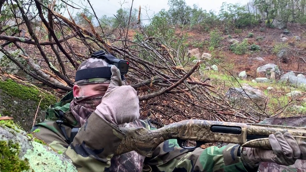 Turkey Hunting 4 2019