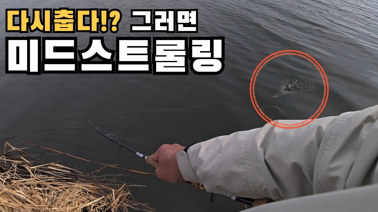 다시 추워졌죠? 지금은 액션보다 이게 더 중요합니다. [4K]