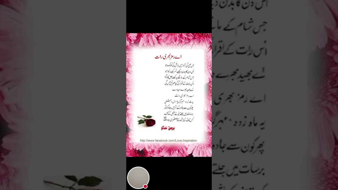 parveen shakir live 