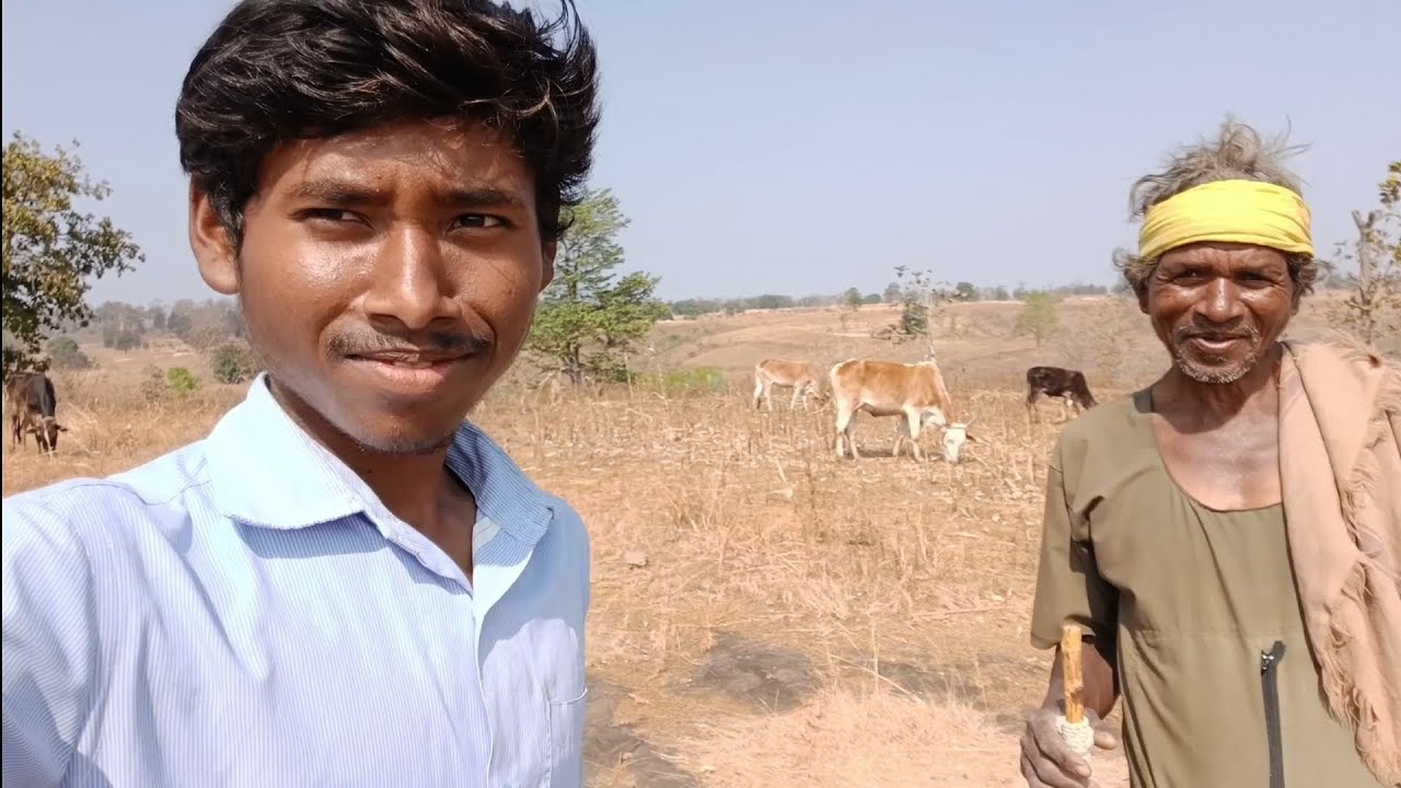A raha Mera dadaji jo gay bael charate hai 