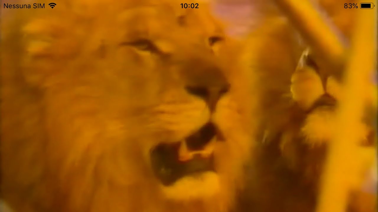 I leoni di Carl Peters presentati da Ambra Orfei e Sergio (Massy anni’90)