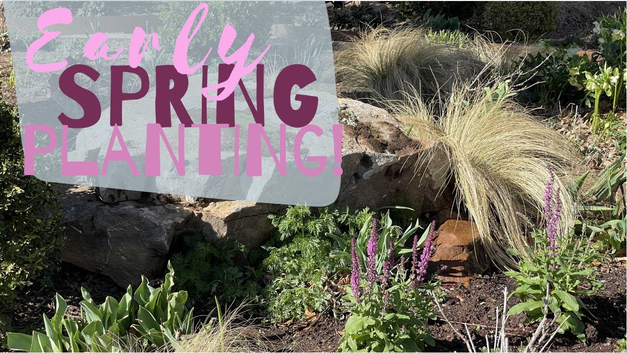 Early Spring Planting + Other Various To Dos! ✅