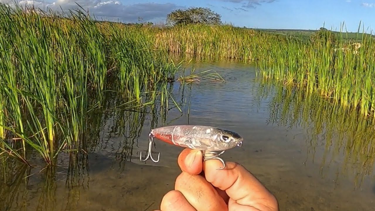 NÃO É ATOA QUE ELA TEM CARA DE MÁ. Pescando nas taboas.