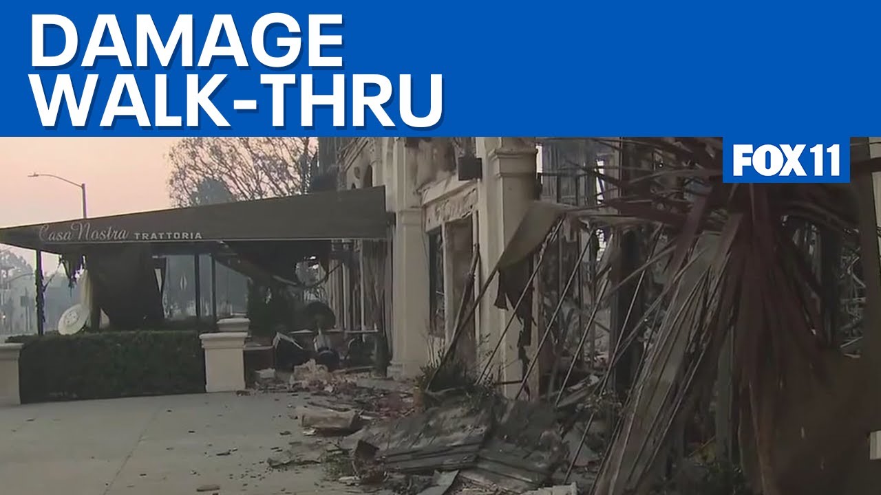 Palisades Fire: Video shows damage of California fires