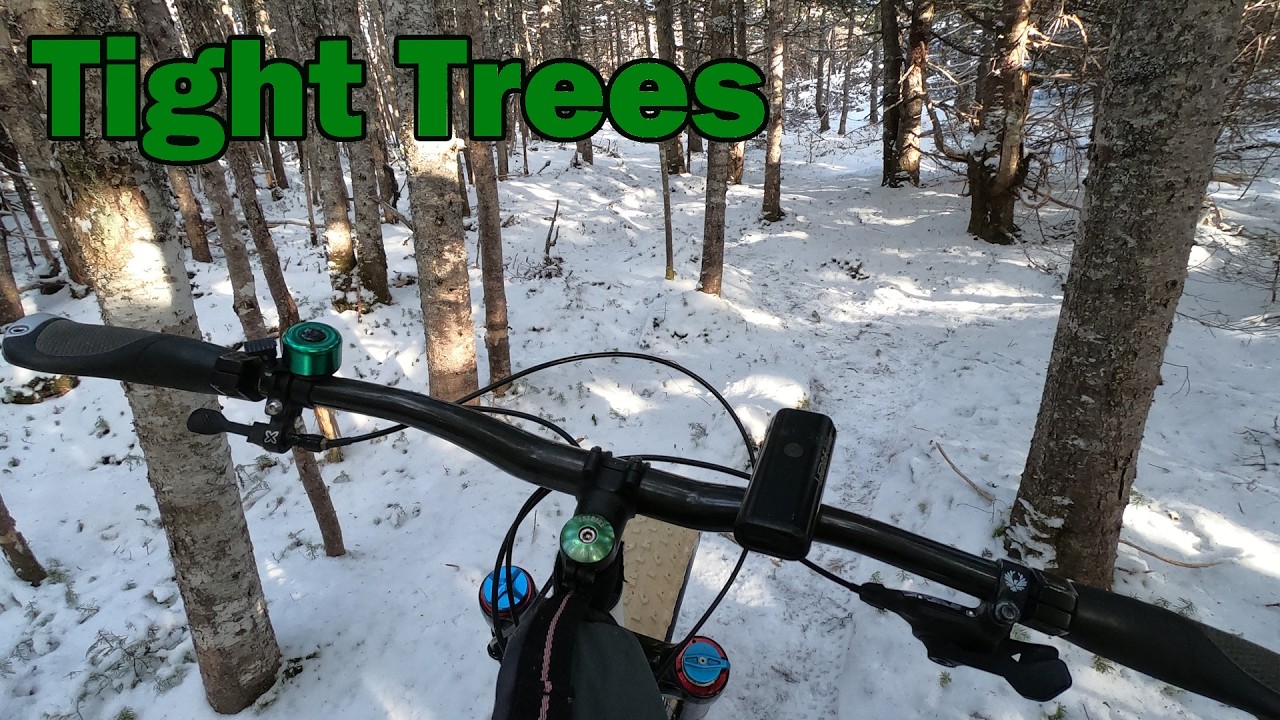 Bar‑Snag Alley: The Trail That Barely Exists