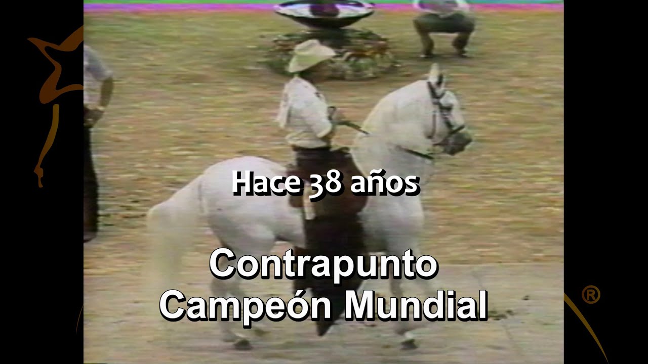 COPA MUNDIAL DE PASO FINO 1984 GUAYNABO PUERTO RICO CABALLOS