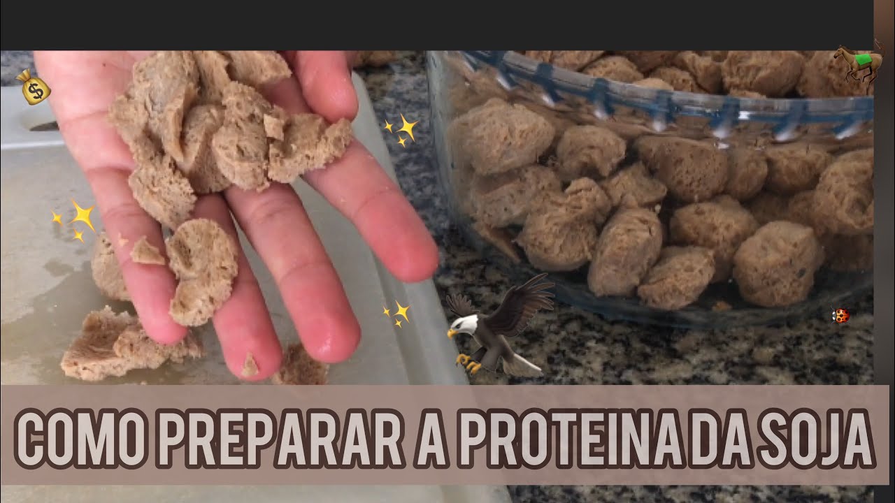 COMO preparar a CARNE DE SOJA para qualquer RECEITA sem deixar gosto forte