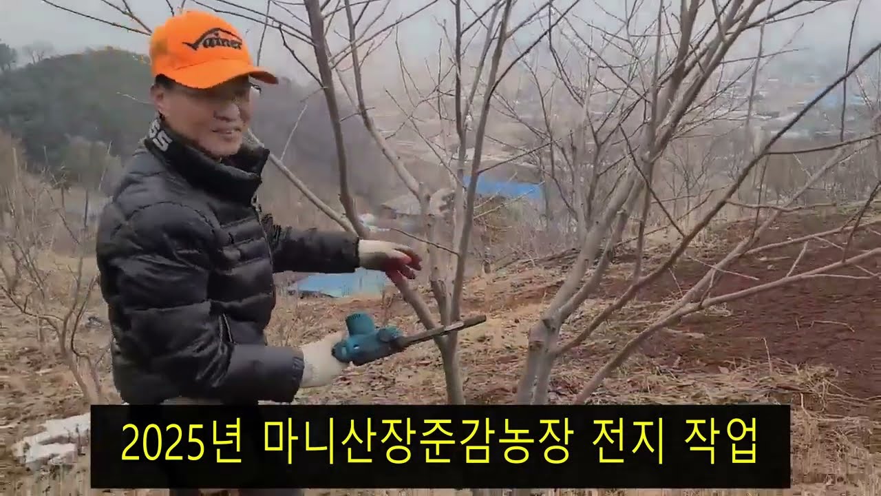 2025년 마니산 장준감 농장 전지 작업