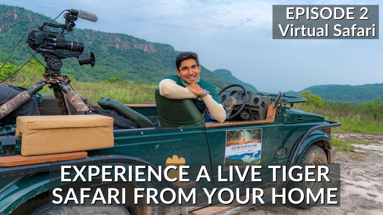 INDIA’S FIRST VIRTUAL SAFARI - EP2 | TIGER SAFARI LIVE |BANDHAVGARH NATIONAL PARK