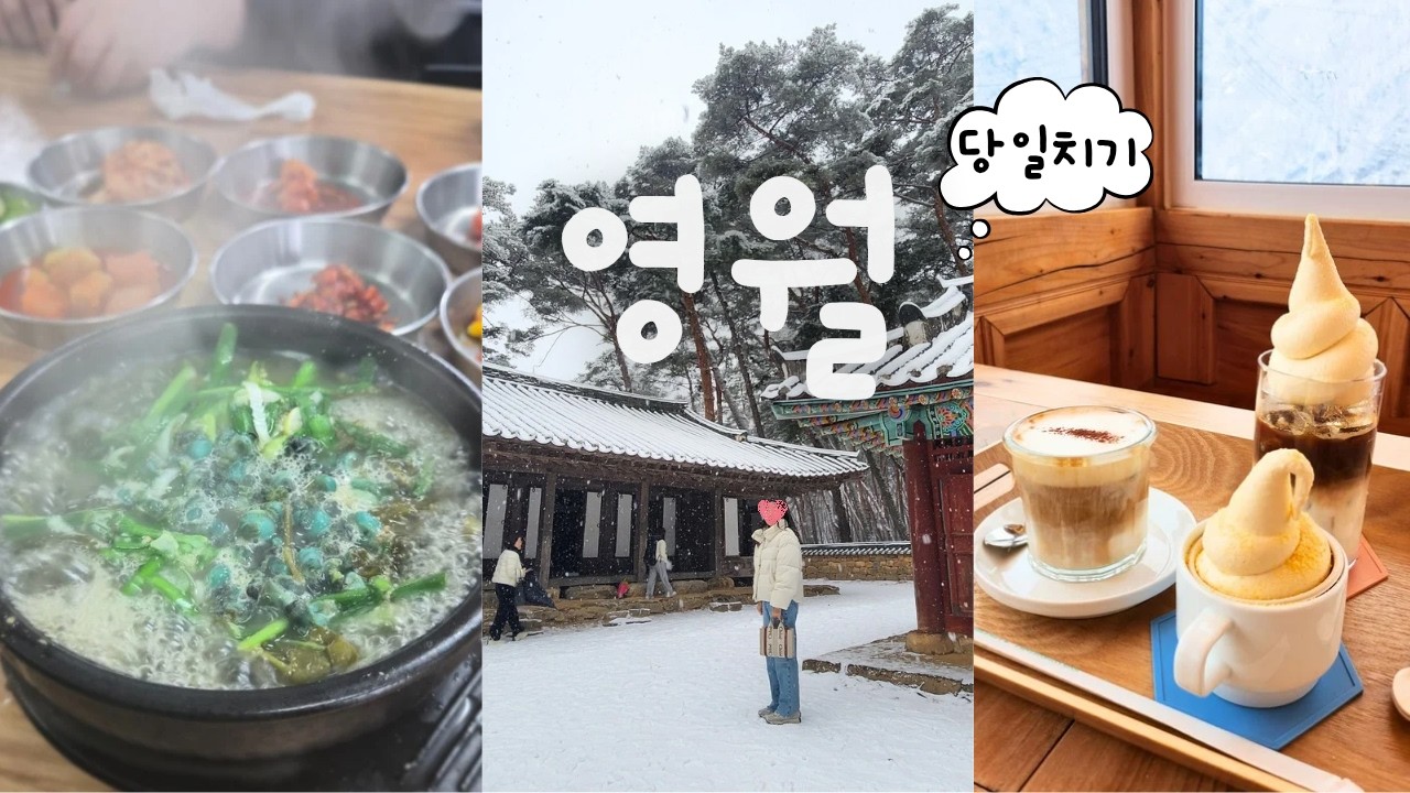영월 브이로그ㅣ왕과사는남자 영화 보고 감동 먹고 떠난 영월 5시간 코스ㅣ청령포와 장릉ㅣ동강다슬기ㅣ영월 소금빵🥐ㅣ카페 팔괴리ㅣ영월 서부시장 모둠순대는 꼭 드세요