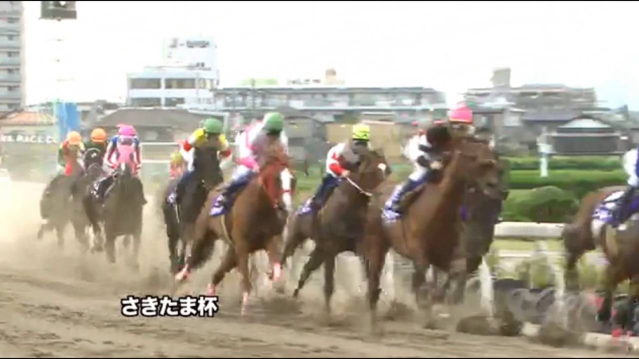 2016　さきたま杯(G2)　ソルテ