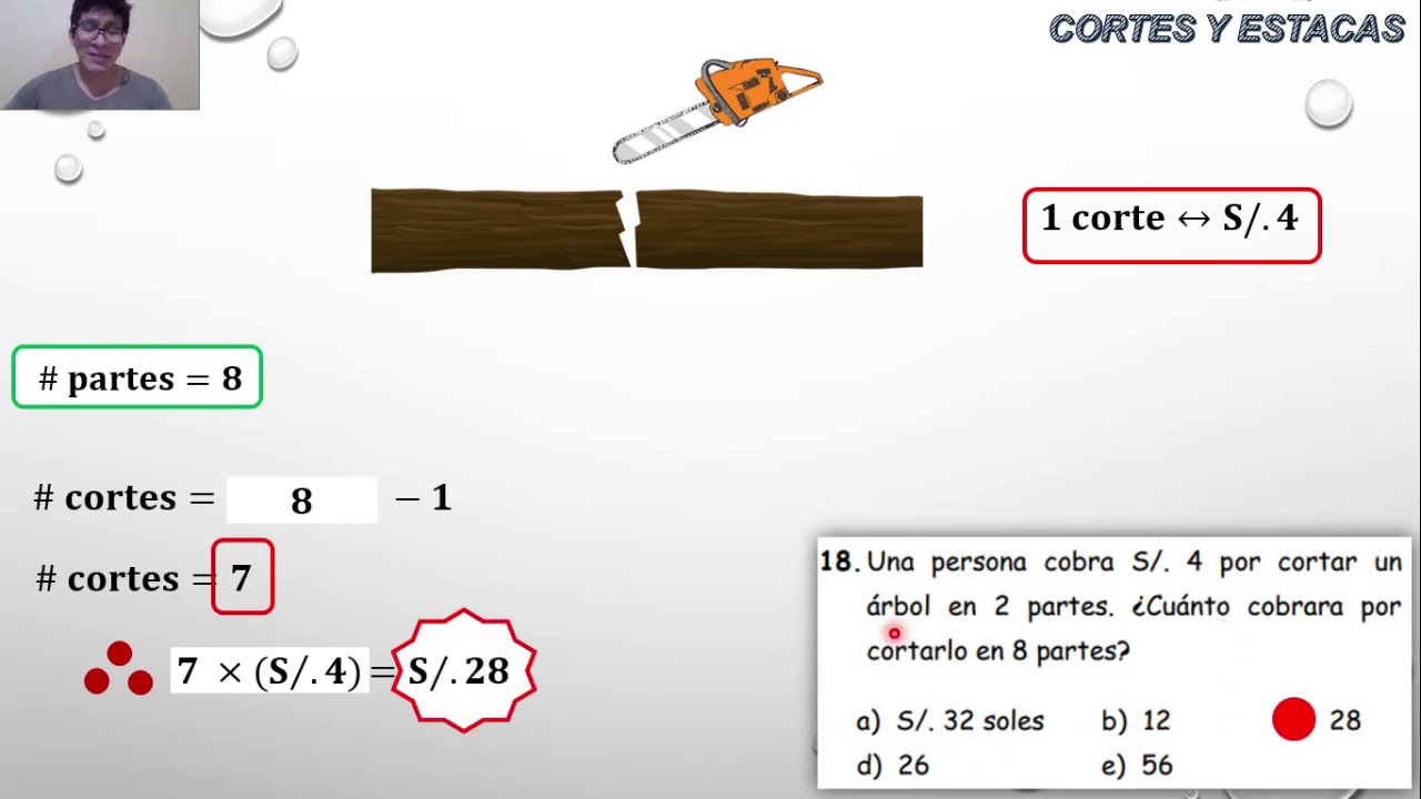 Cortes y estacas