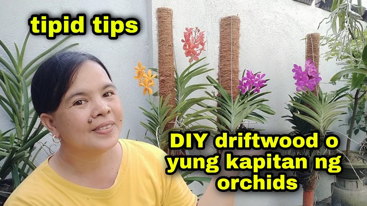 Tipid tips... DIY driftwood o yung kinakapitan ng mga orchids