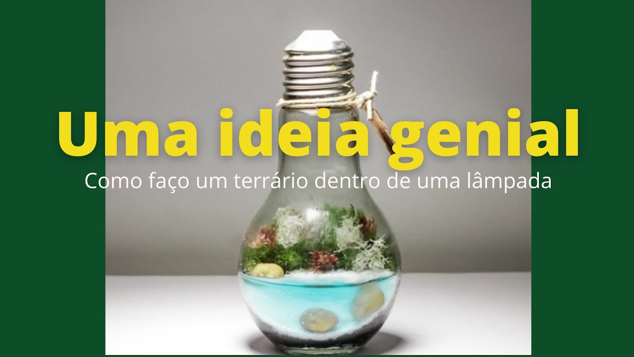 Uma ideia genial, Como fiz um terrário numa lâmpada