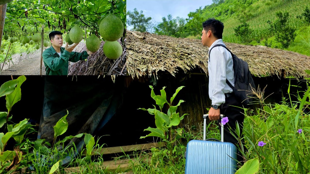 Full video Trieu Ba I Building a Life From the Green Forest.
