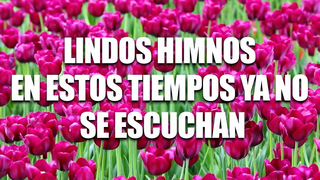 LINDOS HIMNOS EN ESTOS TIEMPOS YA NO SE ESCUCHAN - 40 HIMNOS ANTIGUOS MEJOR SELECCIONADOS 2026 🌹