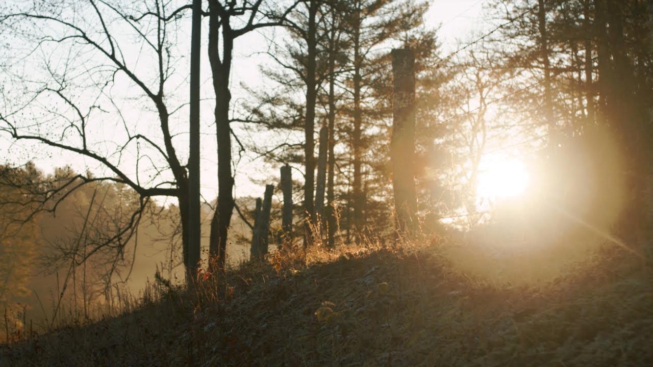 Georgia Mountain Light - Thanksgiving 2019 BMPCC4K BRAW Q5