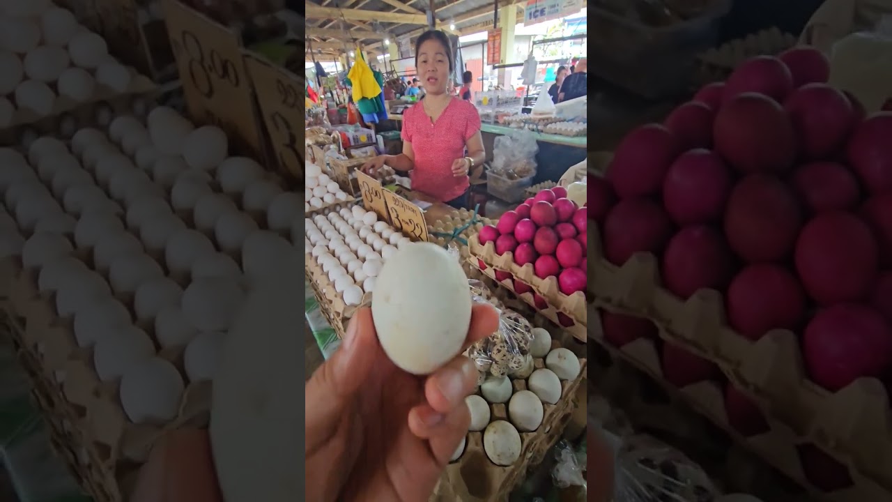 egg prices now in philippines for salted egg and balut