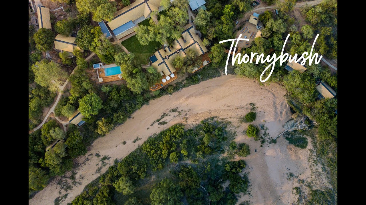 🦁 Thornybush Game Lodge Full Tour: Luxury Safari Resort in South Africa | Secrets VIP Travel 🇿🇦