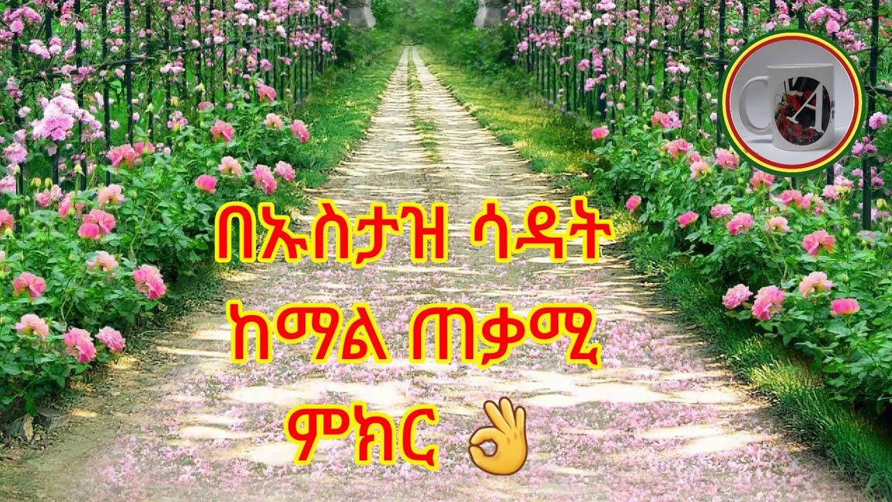 በኡስታዝ ሳዳት ከማል ጠቃሚ ምክር👌