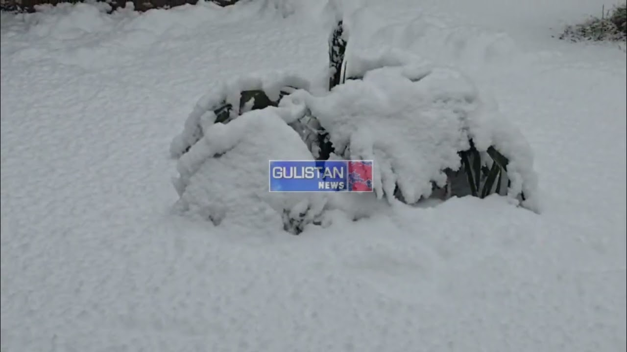 Fresh snowfall has been reported in Baramulla