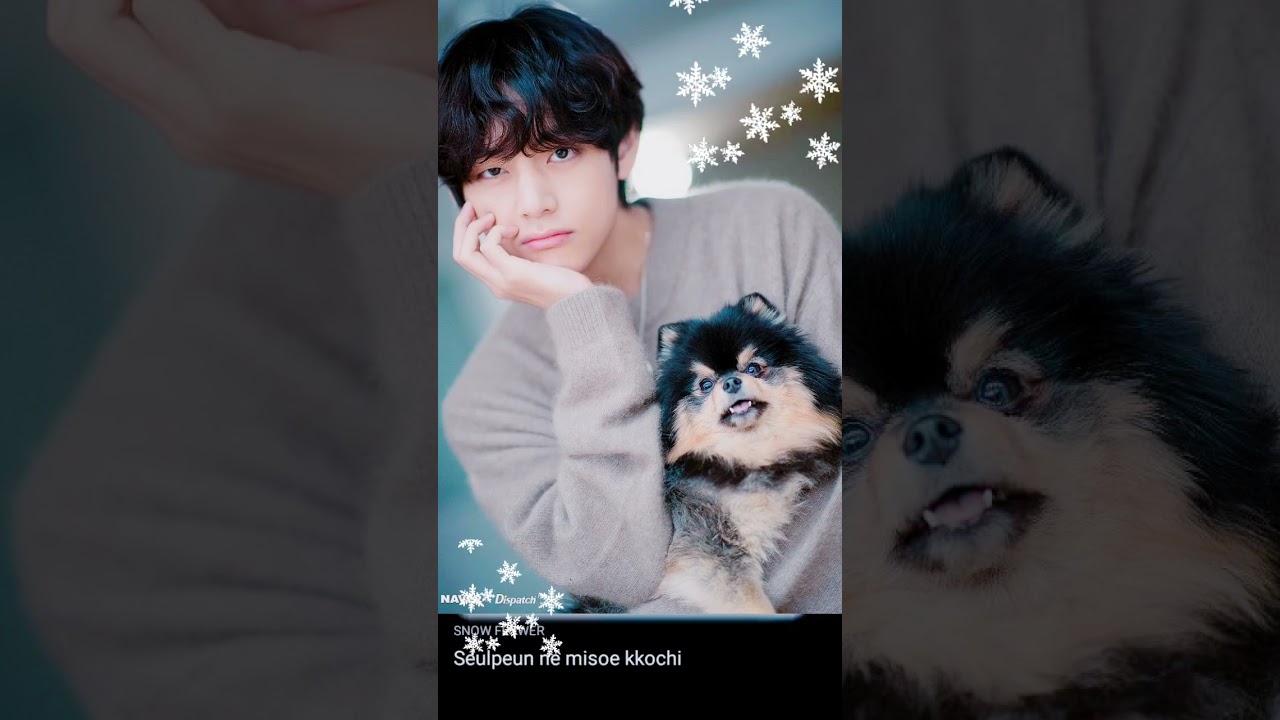 cover song for [Snow Flower]  Kim Taehyung V of BTS 💜🐯🥀