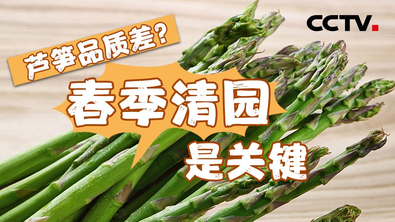 芦笋种植品质差 效益低？春季清园是关键 | CCTV「田间示范秀」20200804