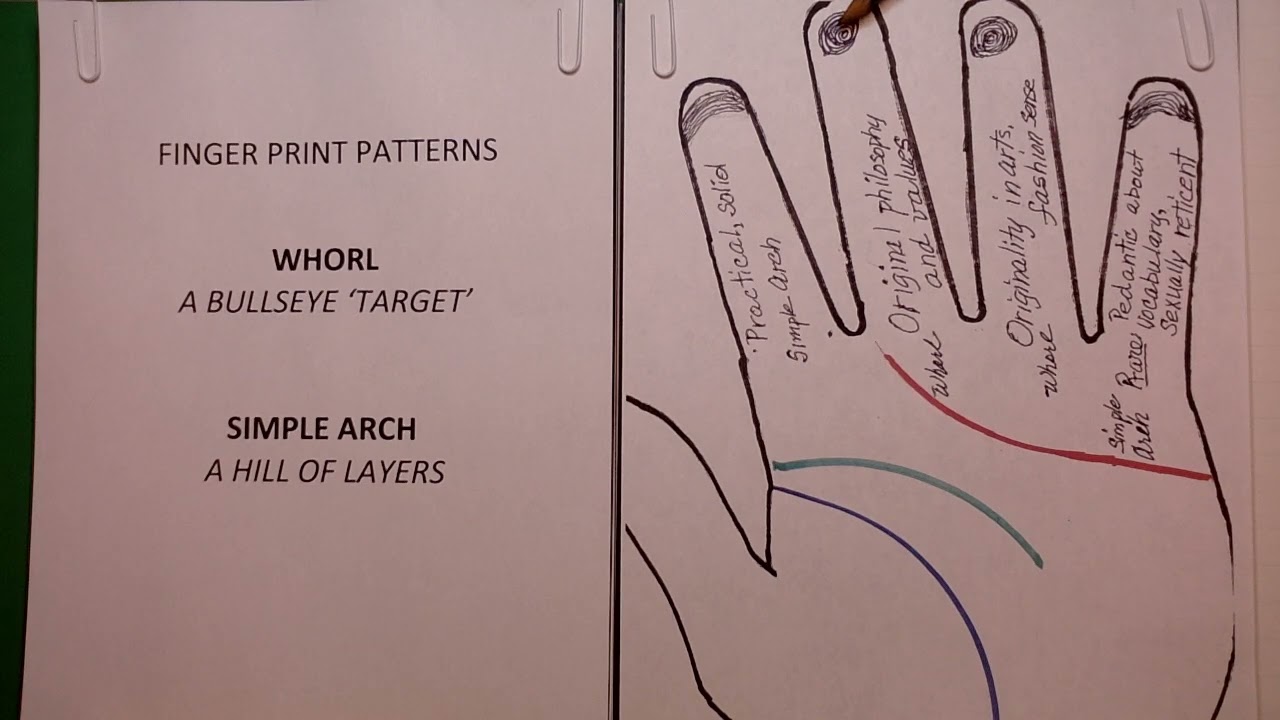 201 WHAT DOES THE WHORL AND SIMPLE ARCH SAY ABOUT HOW YOU THINK?