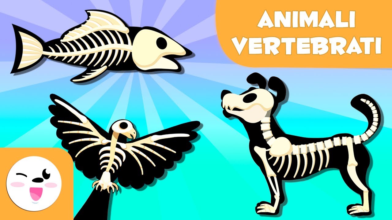 ANIMALI VERTEBRATI per bambini - Mammiferi, uccelli, rettili, pesci e anfibi