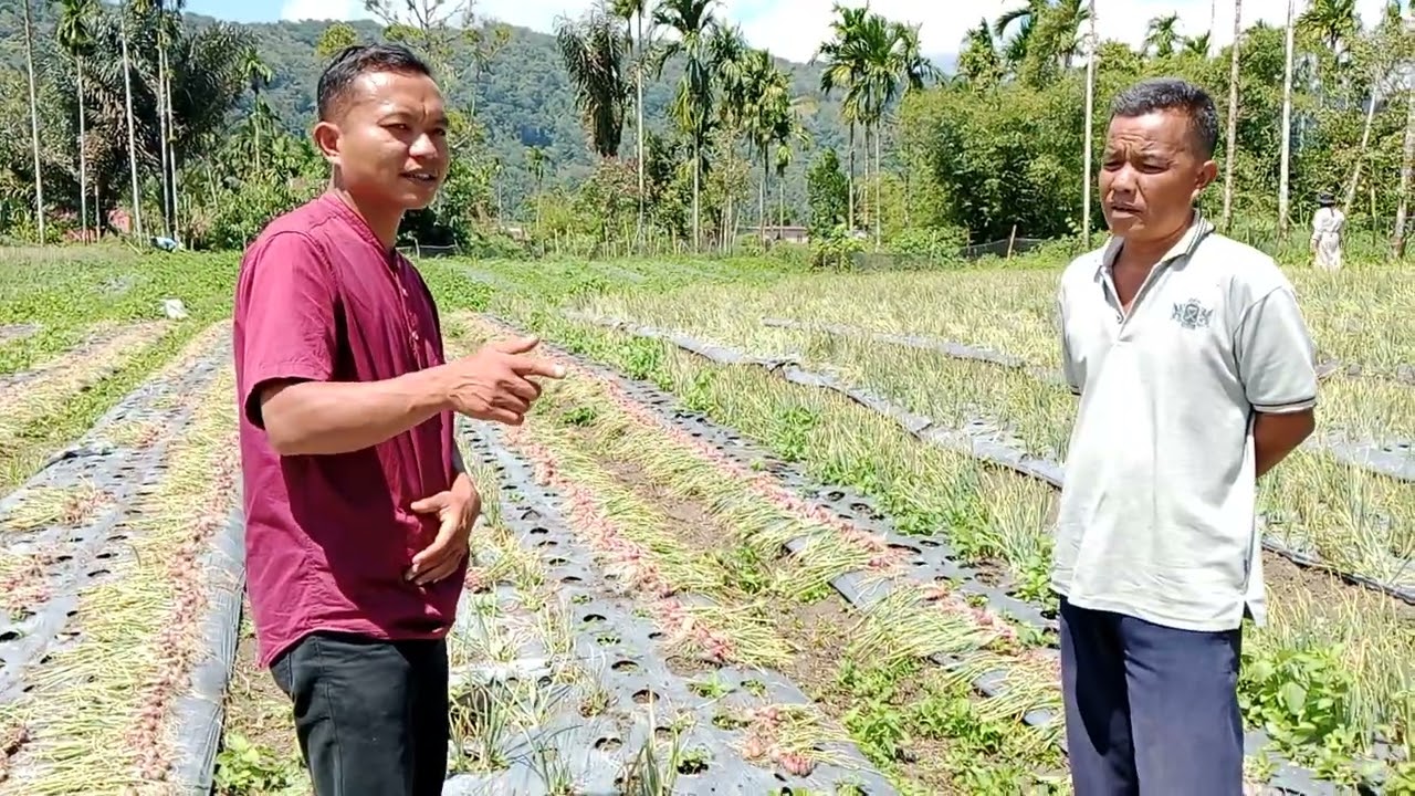 𝔹𝕦𝕕𝕚𝕕𝕒𝕪𝕒 𝔹𝕒𝕨𝕒𝕟𝕘 𝕄𝕖𝕣𝕒𝕙