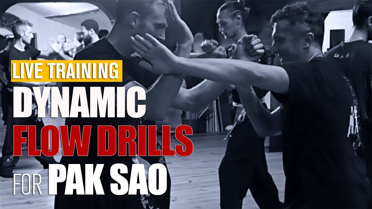 Acad&eacute;mie de Wing Chun Kung Fu Toulouse - LIVE - Comment enrichir techniquement vos FLOW DRILLS