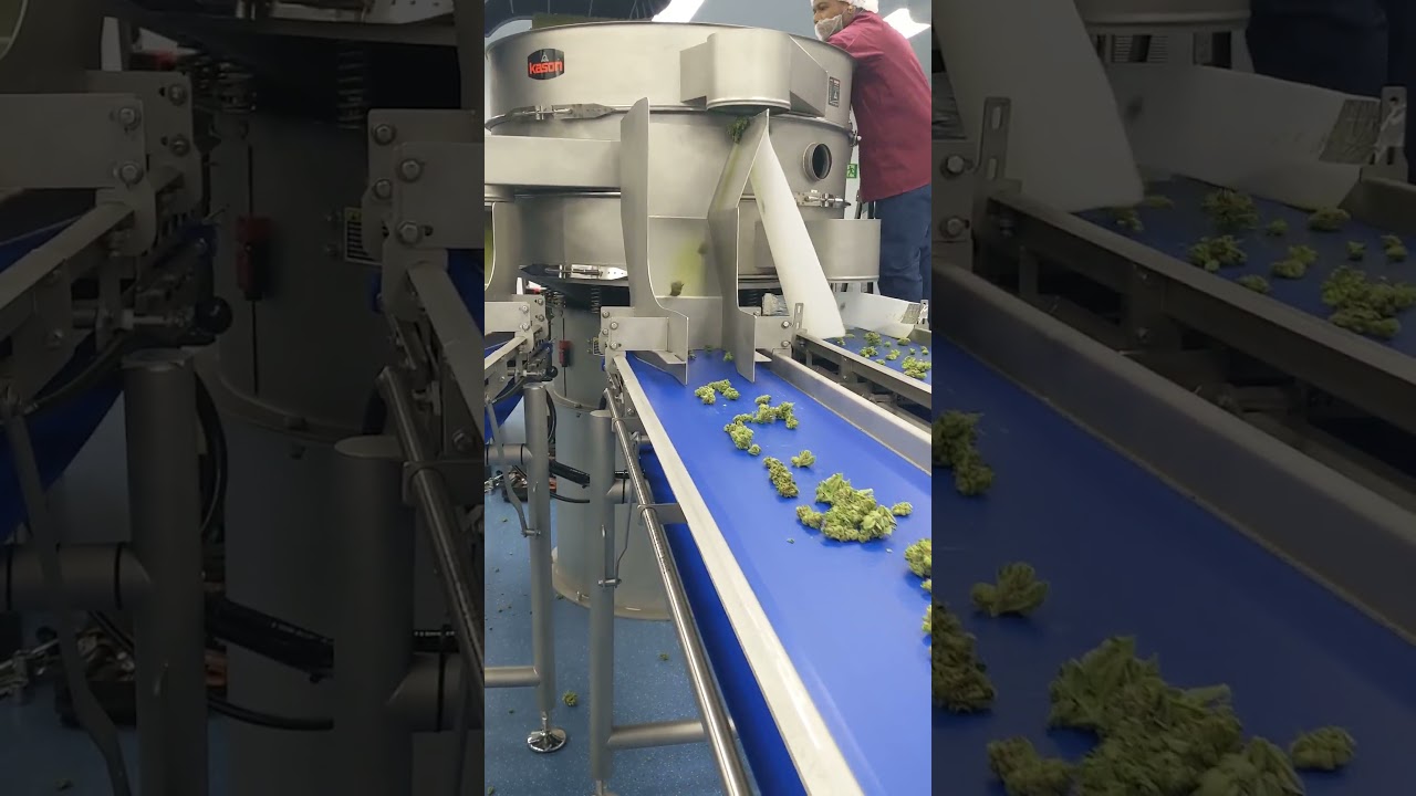 Watch the Twister T-Zero Pro in Action