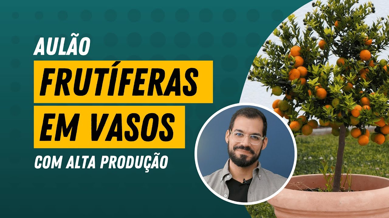 FRUTÍFERAS EM VASOS: Espécies, plantio, adubação, poda