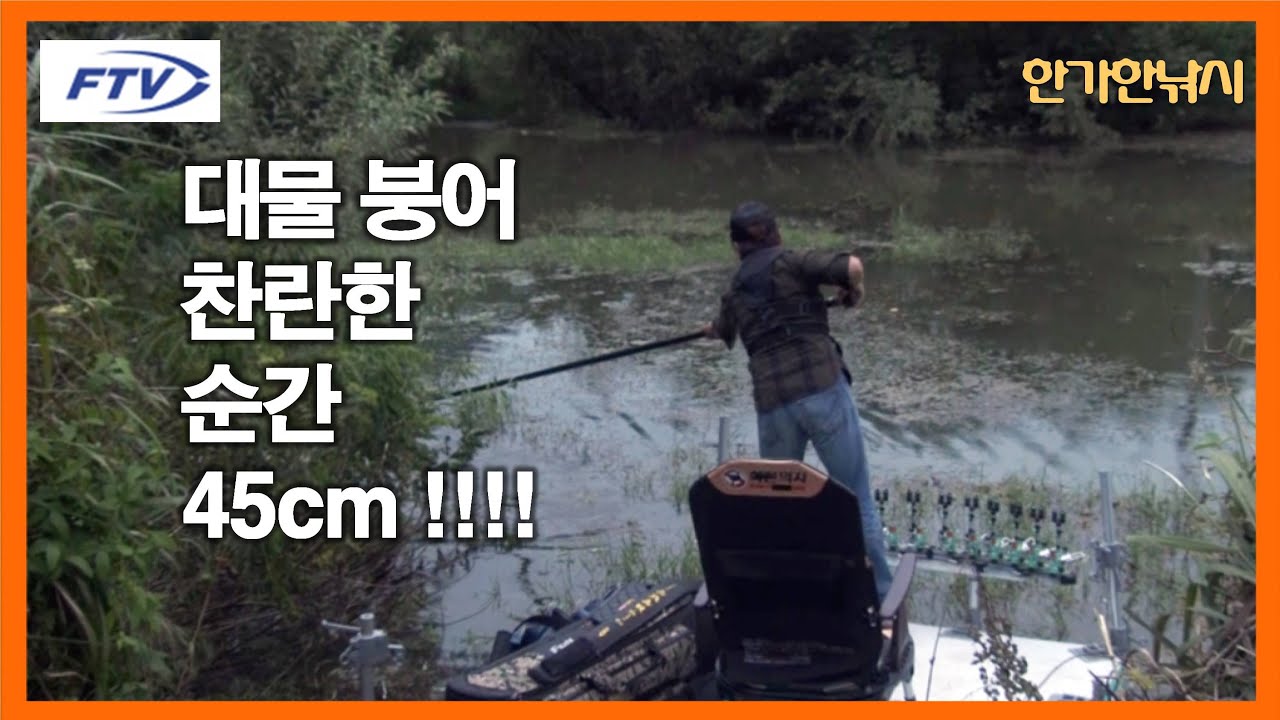 [FTV 한가한낚시] 대물붕어 포인트 4짜(45cm) 대물을 만나다 - 수초 우거진 상류 최고의 대물 포인트 - 대물 붕어포인트