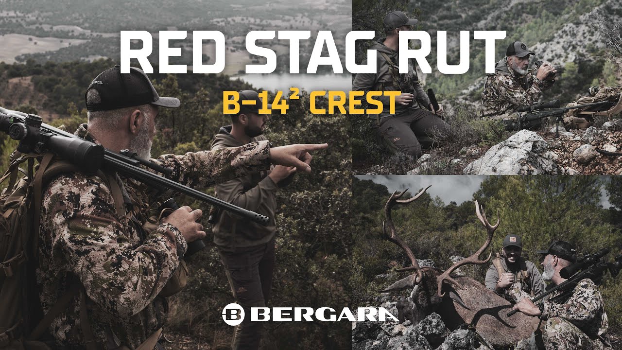 B14² CREST: Red Stag Hunting in Spain